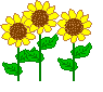Ђ܂